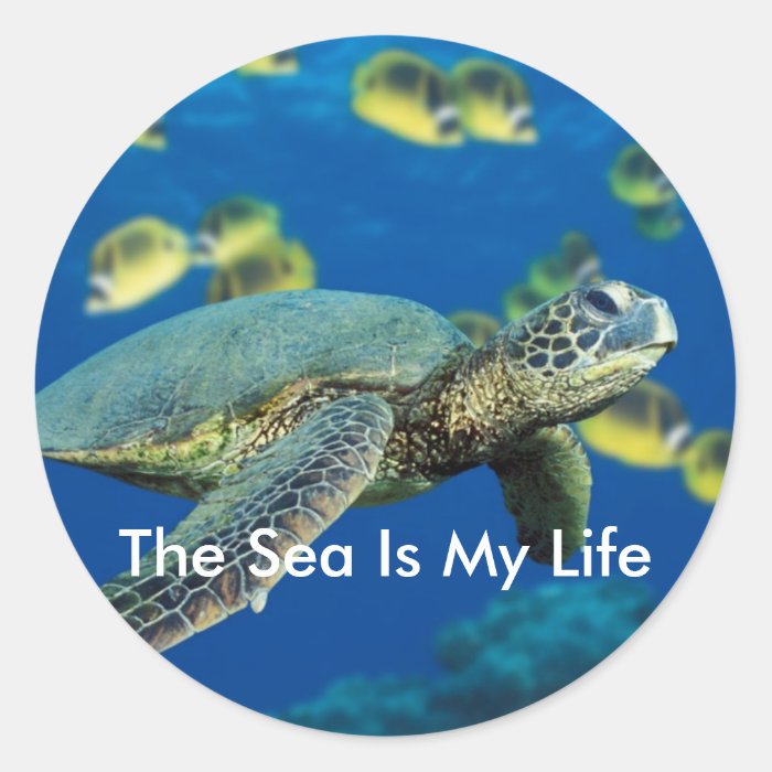Green Sea Turtle Sticker