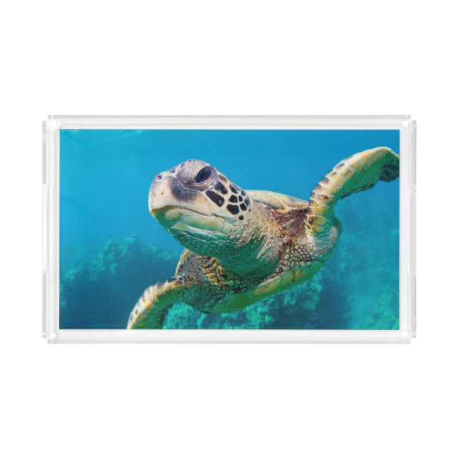 Green Sea Turtle Swimming Over Coral Reef |Hawaii Acrylic Tray (Front)