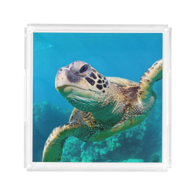 Green Sea Turtle Swimming Over Coral Reef |Hawaii Acrylic Tray (Front)