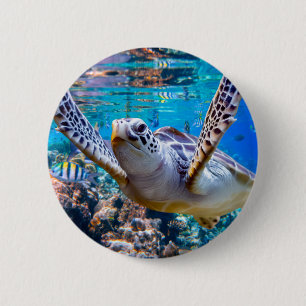 Green Sea Turtle Swimming Over Coral Reef Hawaii Button