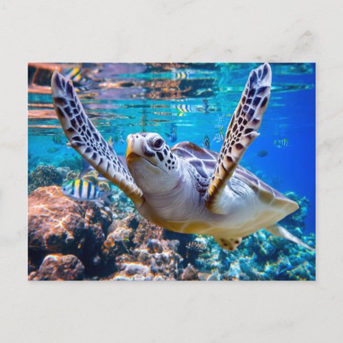 Green Sea Turtle Swimming Over Coral Reef Hawaii  Holiday Postcard