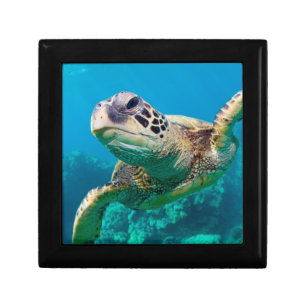 Green Sea Turtle Swimming Over Coral Reef Hawaii Keepsake Box