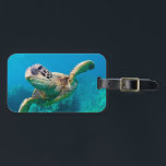 Green Sea Turtle Swimming Over Coral Reef |Hawaii Luggage Tag<br><div class="desc">Sea turtle,  Hawaii</div>