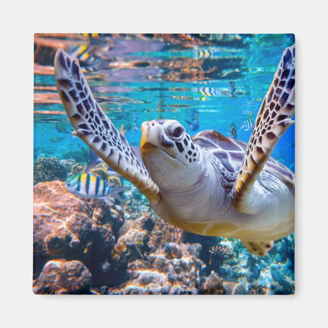 Green Sea Turtle Swimming Over Coral Reef |Hawaii Magnet (Front)