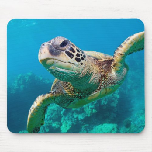 Green Sea Turtle Swimming Over Coral Reef Hawaii Mouse Pad