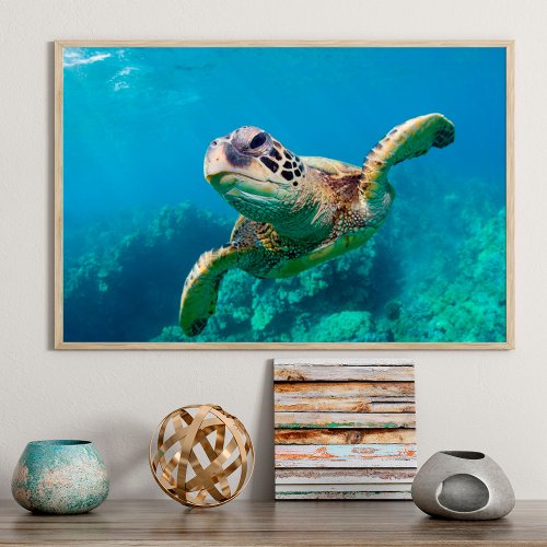 Green Sea Turtle Swimming Over Coral Reef Hawaii Poster