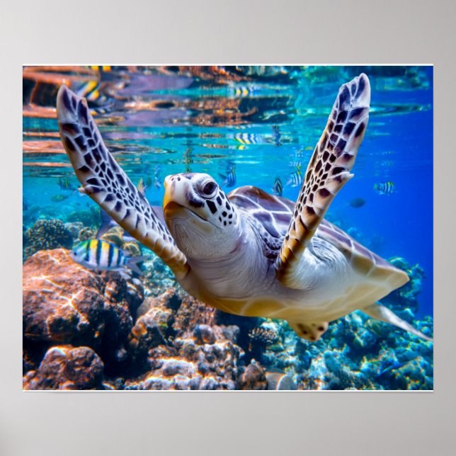 Green Sea Turtle Swimming Over Coral Reef |Hawaii Poster (Front)