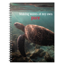 Green sea turtle swimming underwater