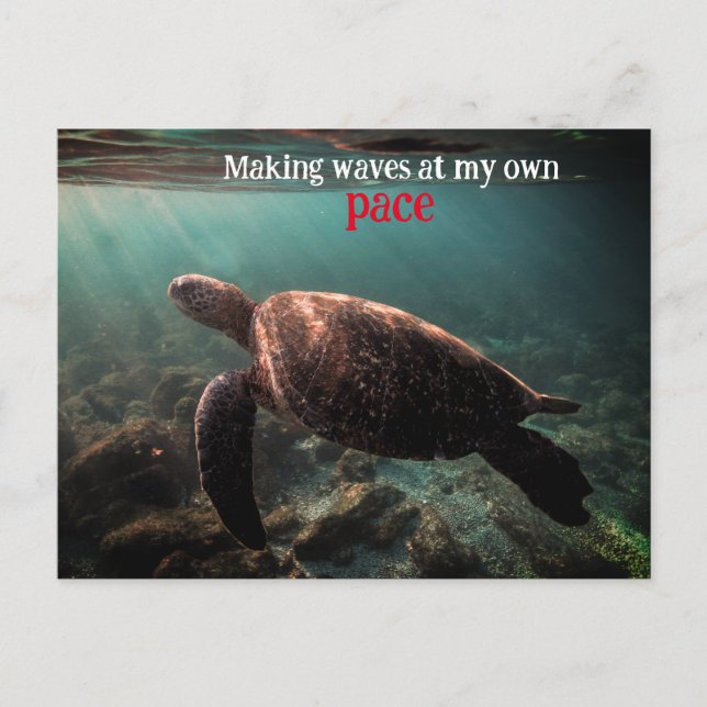 Green sea turtle swimming underwater postcard (Front)