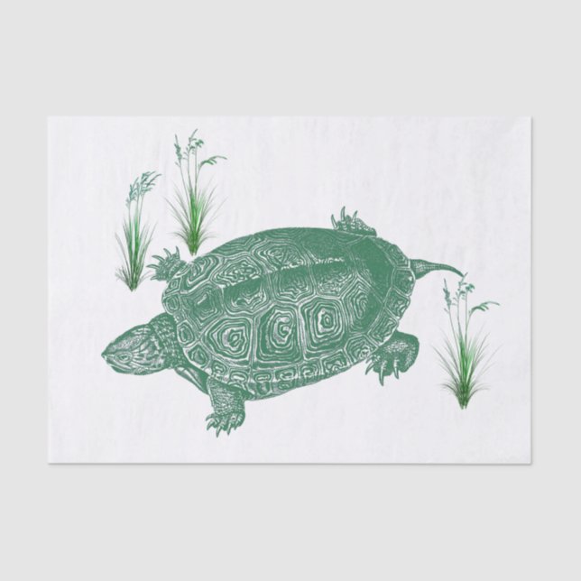 Green Sea Turtle Tissue Paper (Front)