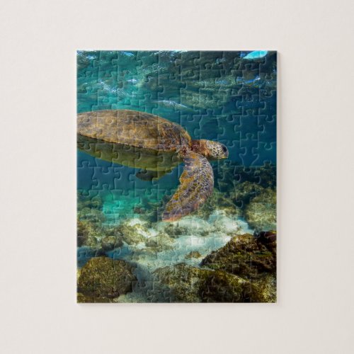 Green sea turtle underwater Galapagos Islands Jigsaw Puzzle