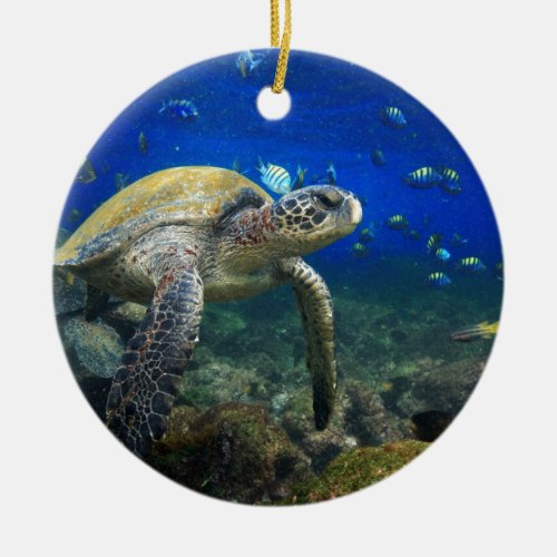Green sea turtle underwater Galapagos paradise Ceramic Ornament