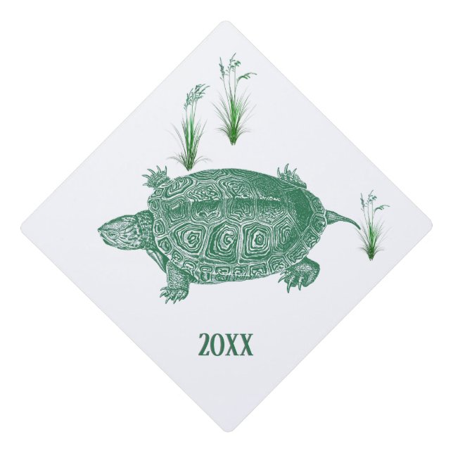 Green Sea Turtle Year Graduation Cap Topper (Front)