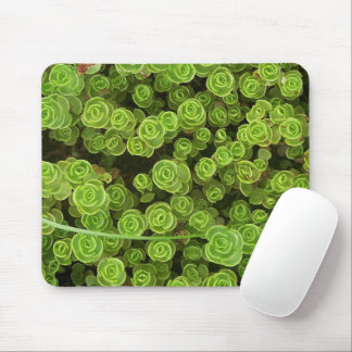 Green Sedum Garden Plant Mouse Pad