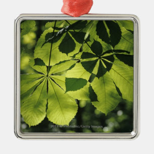 Green Seven Point Leaves with Sun Illumination Metal Ornament