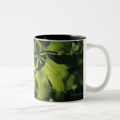 Green Seven Point Leaves with Sun Illumination Two_Tone Coffee Mug