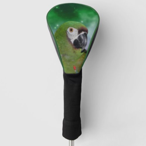 Green Severe Macaw Parrot Bird Art   Golf Head Cover