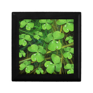 Green Shamrock St Patrick's iPhone 5 Case-Mate Gift Box