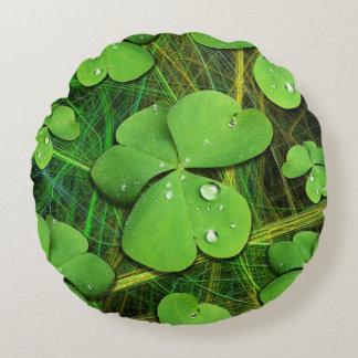 Green Shamrock St Patrick's iPhone 5 Case-Mate Round Pillow