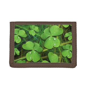 Green Shamrock St Patrick's iPhone 5 Case-Mate Trifold Wallet