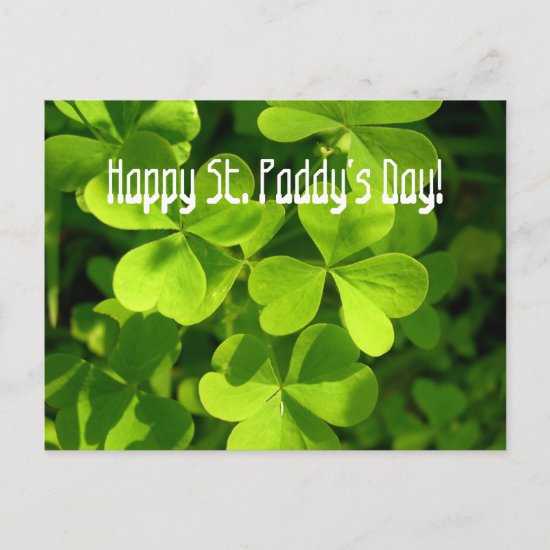 Green Shamrocks, St. Paddy's Day Postcard