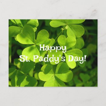 Green Shamrocks  St. Paddy's Day Postcard by pamdicar at Zazzle