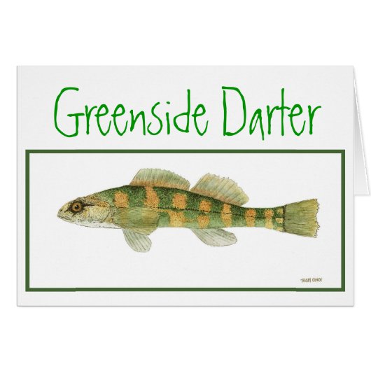 Green Sided Darter card (Front Horizontal)