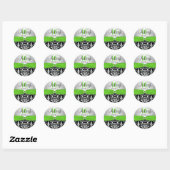 Green, Silver, Black Damask Sweet 16 Sticker (Sheet)
