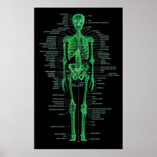 green skeleton poster
