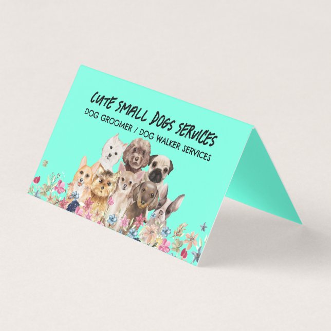 Green Small Dogs grooming cute pet sitter (Front)
