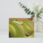 green snake (Standing Front)