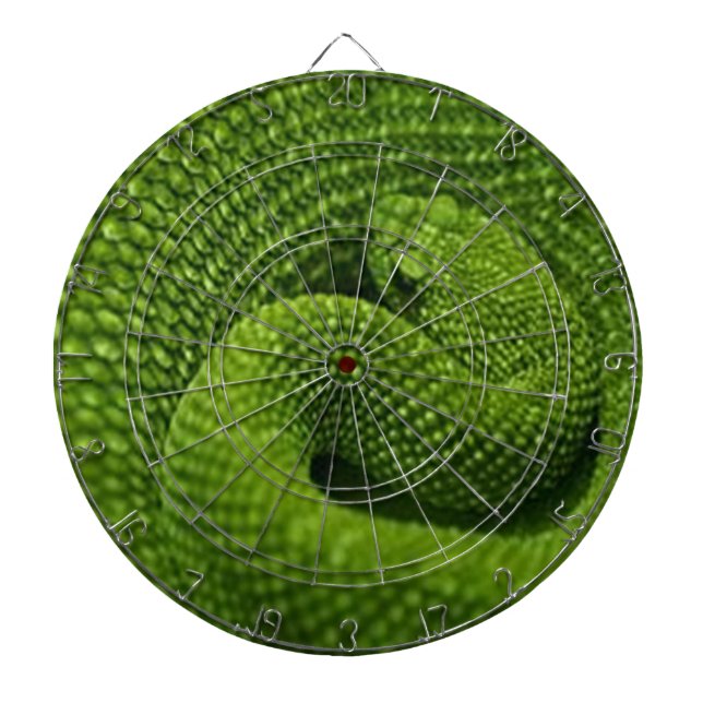GREEN SNAKE DART BOARD (Front)