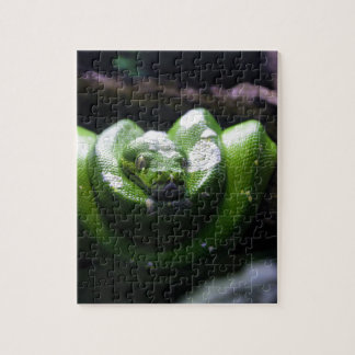Green snake jigsaw puzzle