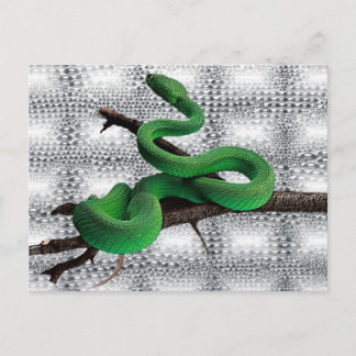 GREEN SNAKES POSTCARD