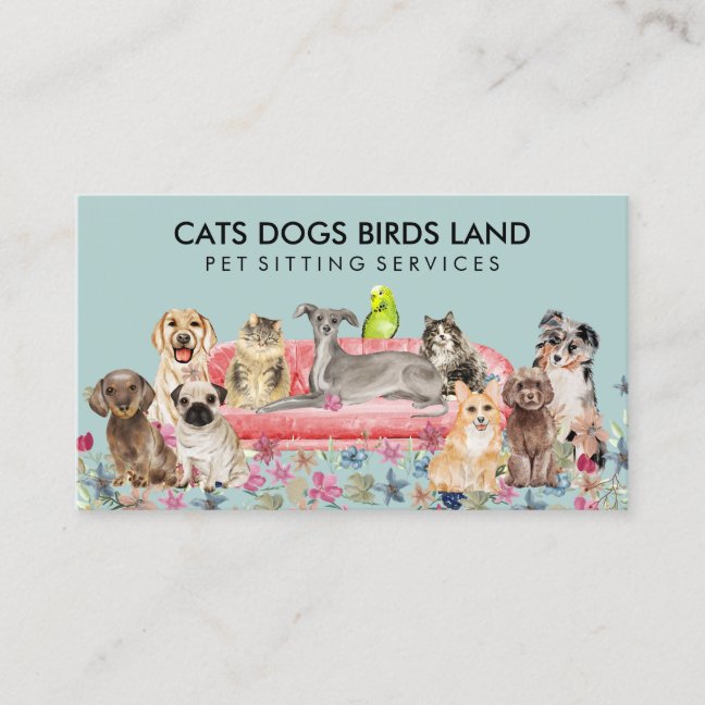 Green Soft Dog Cat Bird Hotel Sofa Pet Sitting Business Card