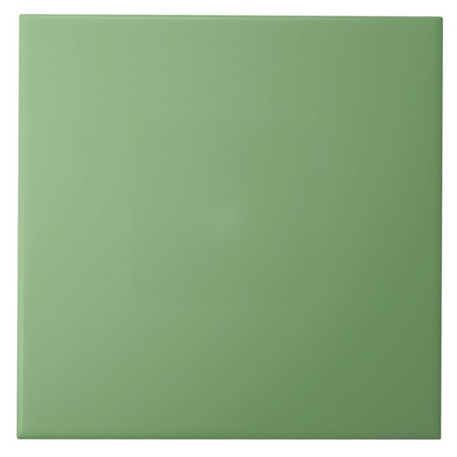 Green Solid Color  Ceramic Tile (Front)