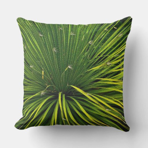 GREEN SOTOL PLANT OUTDOOR PILLOW