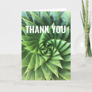Green Spiral Aloe Polyphylla Card