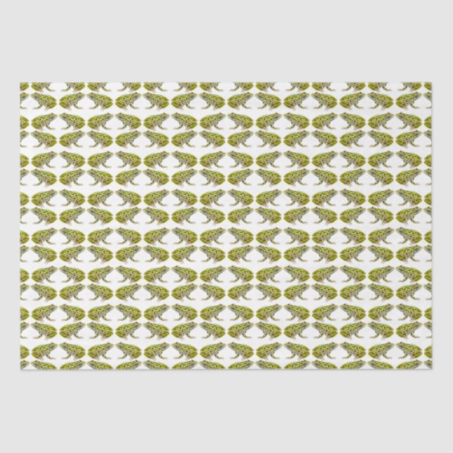 Green Spotted Leopard Frog Tissue Paper (Front)