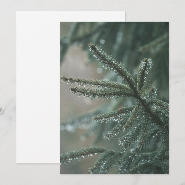 Green spruce tree close-up, Christmas esthetic Holiday Card (Front/Back)