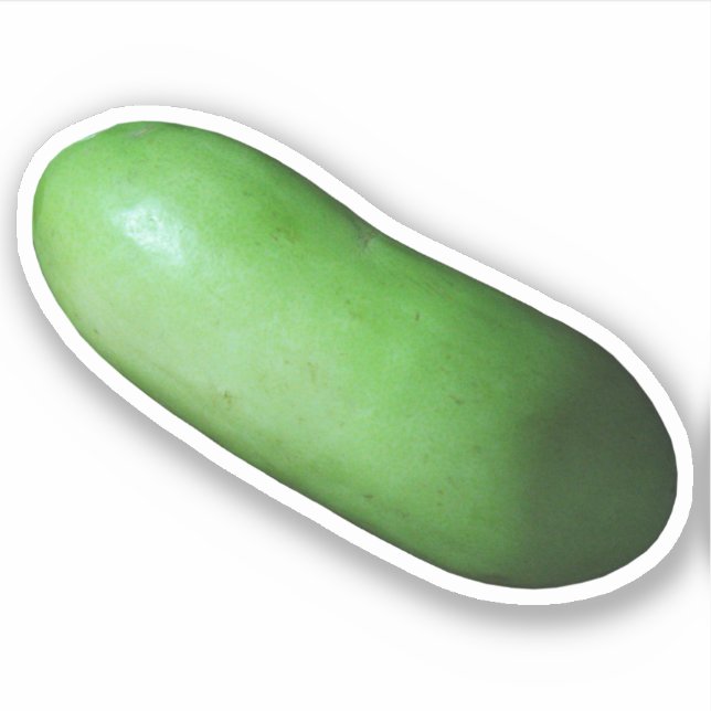Green Squash (Winter Melon) Sticker (Front)