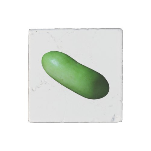 Green Squash Winter Melon Stone Magnet