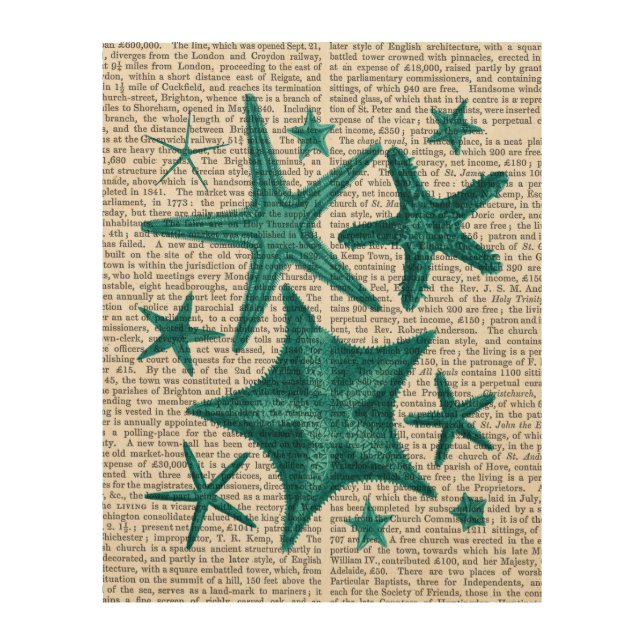 Green Starfish Collection Wood Wall Decor (Front)