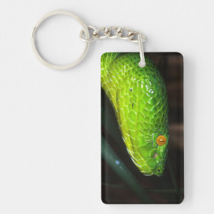 Green Stejneger's pit viper snake Keychain