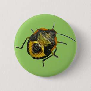 Green Stink Bug Nymph Coordinating Items Button