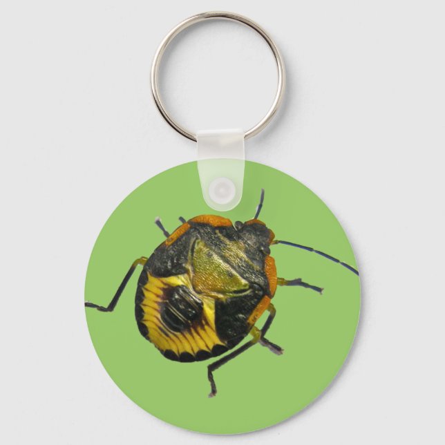 Green Stink Bug Nymph Coordinating Items Keychain (Front)