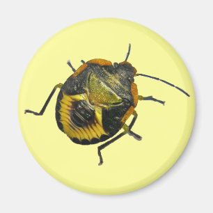 Green Stink Bug Nymph Coordinating Items Magnet