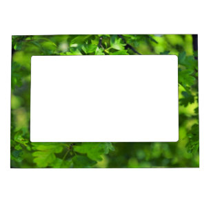 Green stpring trees magnetic frame