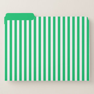 Green striped filing records - French Riviera File Folder