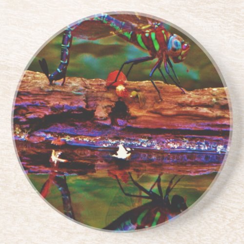 Green striped Teal  purple Dragonfly Sandstone Coaster